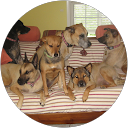 Steventrace gale profile picture